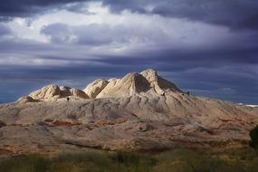 Arizona White Pocket