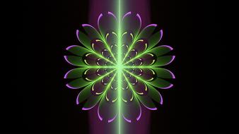 fractal purple lime green purple flowers