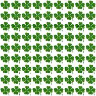 shamrocks clover leaves drawing