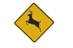 Deer Crossing Sign