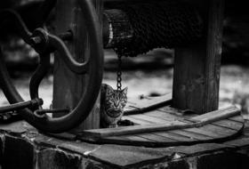 Black and white photo of the cute and beautiful, striped cat on the well