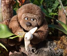 Beautiful and cute, brown, soft monkey toy, among the colorful plants