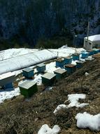Apiary In The Mountains