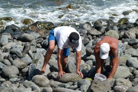 Oysters Men Visitors by sea