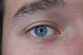 photo of the blue eye of a man