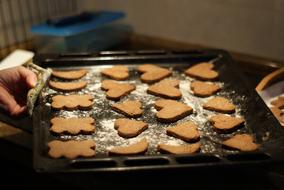 Pastries Gingerbread Cakes