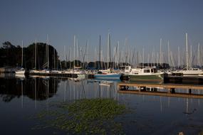 Sailboats Lake Vessels