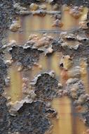 grunge Texture, Rusty metal surface with peeling paint