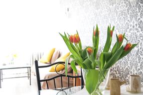 Flowers on table in Apartment