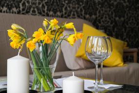 yellow daffodils as a composition on the table