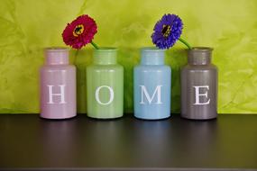 flowers in Home