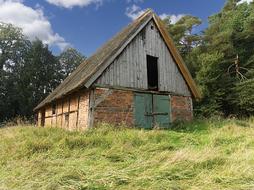 Barn Thatched Roof