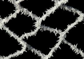 Frost Fence Closing