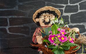 Flowers Male Basket Early Bloomer