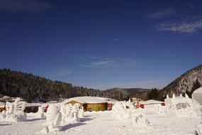 The Scenery Winter