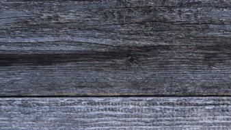 Wood Texture Tree nature