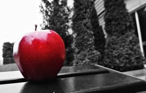 Apple Black