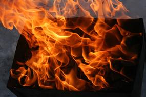 Fire Flame Koster