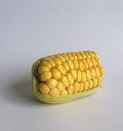 Corn Cornfield Agriculture