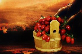 Tomatoes Wooden Bucket Collect