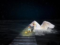 mystical image of a girl on a wooden pier with a lantern and a swan