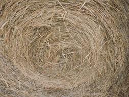 Hay Bale Farm Closeup