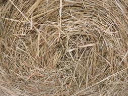 Hay Bale Farm Closeup