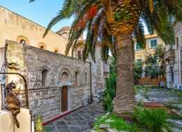 cat in the landscapes of sicily