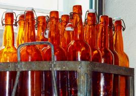 Beer Bottle