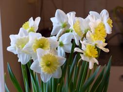Spring Flowers White