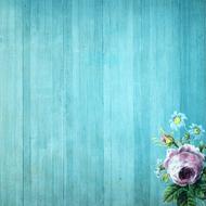 Beautiful, and colorful flowers with green leaves at beautiful background with wooden, turquoise wall