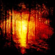 background scrapbooking paper red forest