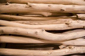 Wood Log Timber