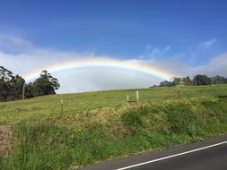Maui Rainbow