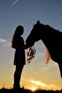 Silhouette of young girl with Horse at Sunrise sky