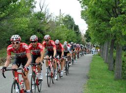 People are riding bicycles