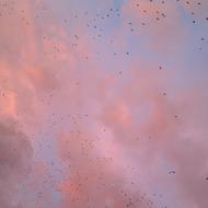 pink Sky Sunset