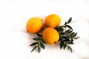 fresh lemons