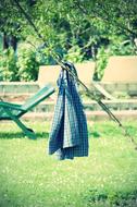 a dress on a rope near a tree