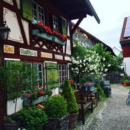 Farm Museum