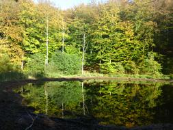 bright weather by the lake