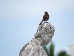 bird sits on a sculpture in Fraga, Spain