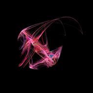 fractals pink as a abstract art