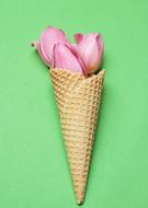 a horn with flowers on a green background