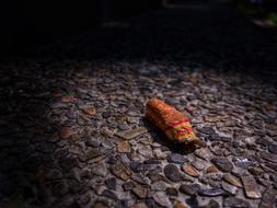 Smoking Street Filter