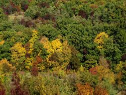 The autumn landscape with trees is beautiful