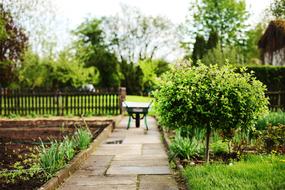 the road leading through the garden