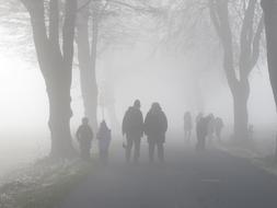 People in the fog in the forest