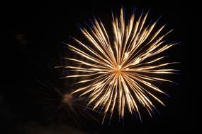 fireworks with a black background