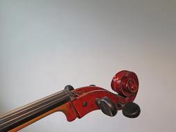 Cello Strings wood